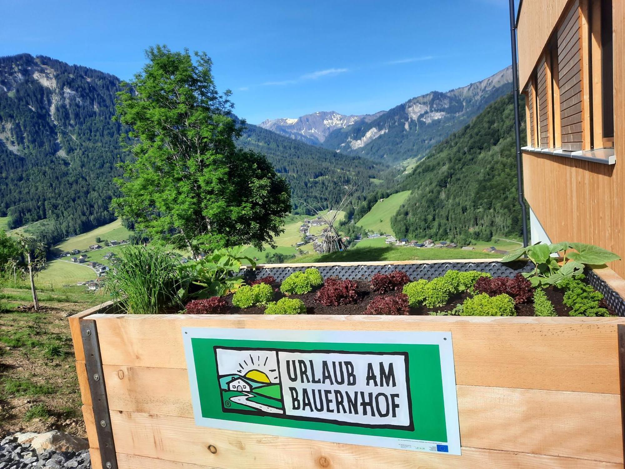 Panoramahof Bergglueck
