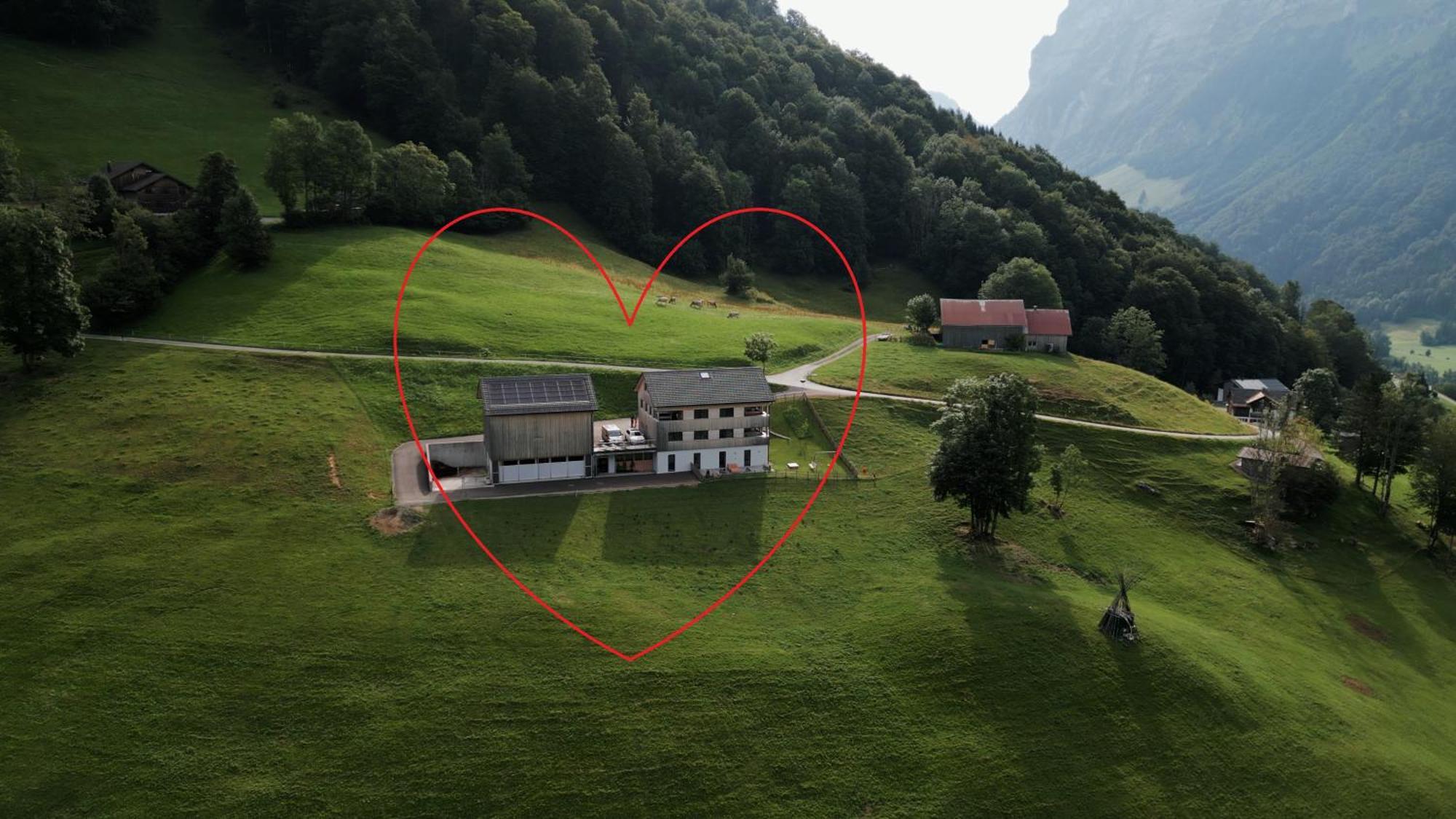 Panoramahof Bergglueck Appartement *